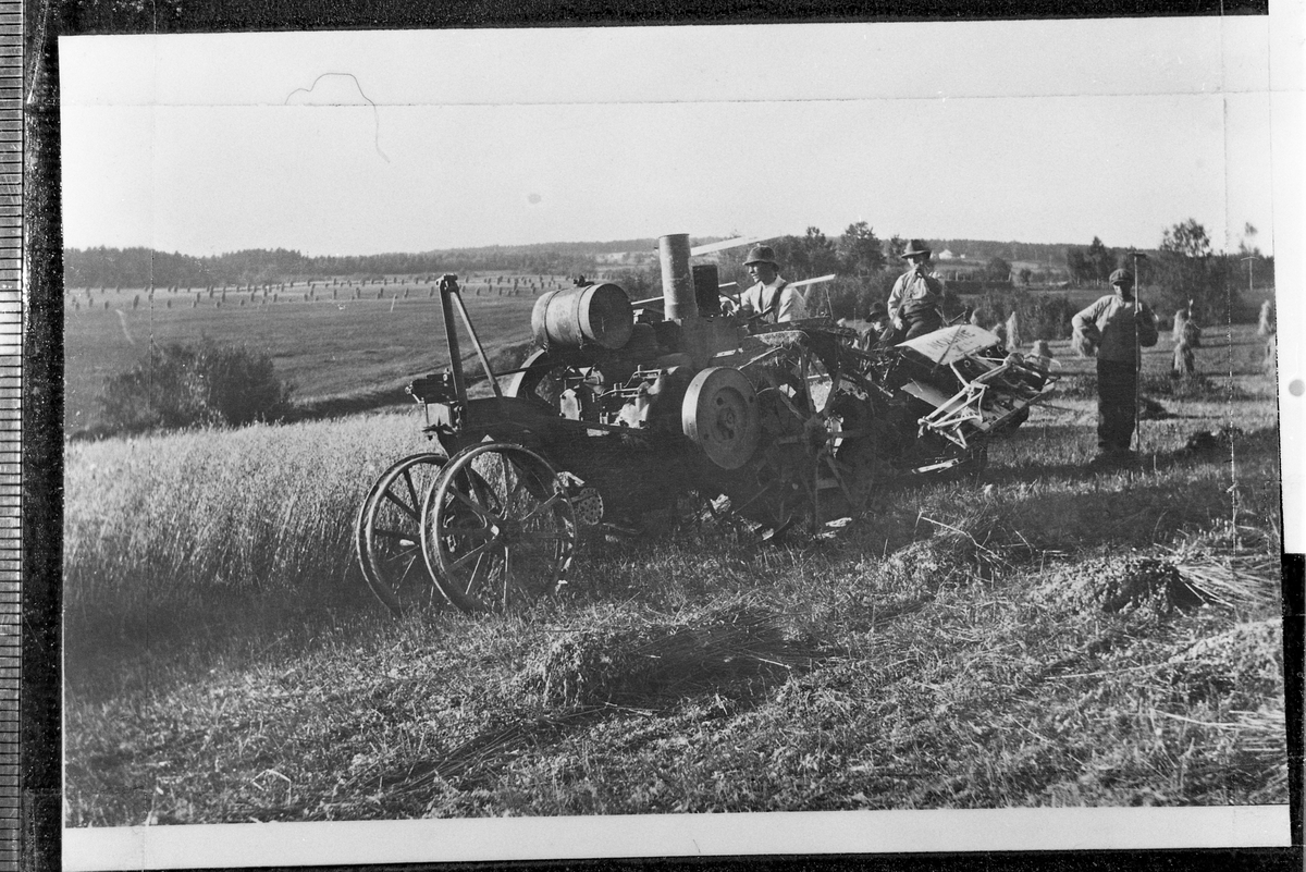 Skuronn med sjølbinder trukket av Mogul traktor, Seiersta østre på Lena 1919. Hans Seierstad sitter på traktoren, Halvard Seierstad på sjølbinderen. Bak står Johan Solum.