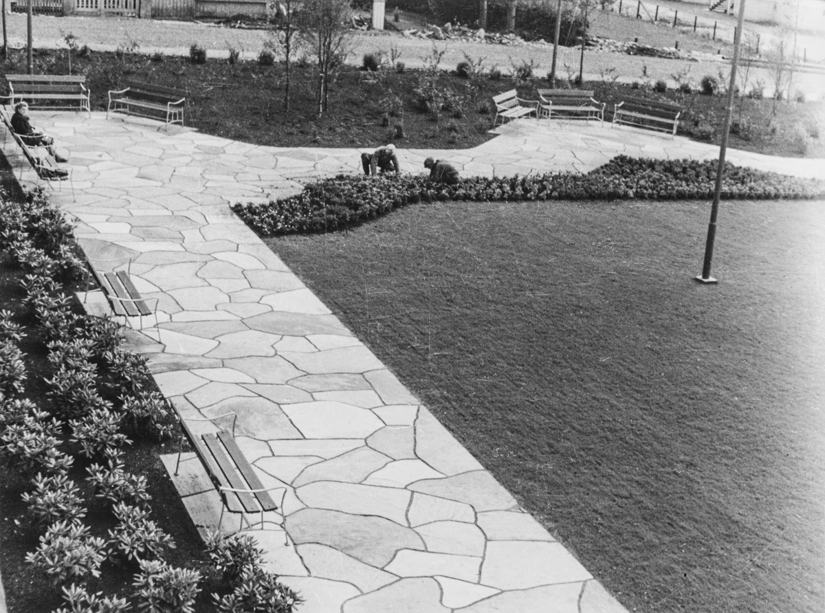 Sydsiden av Rådhusparken sett mot sydvest, 1949.