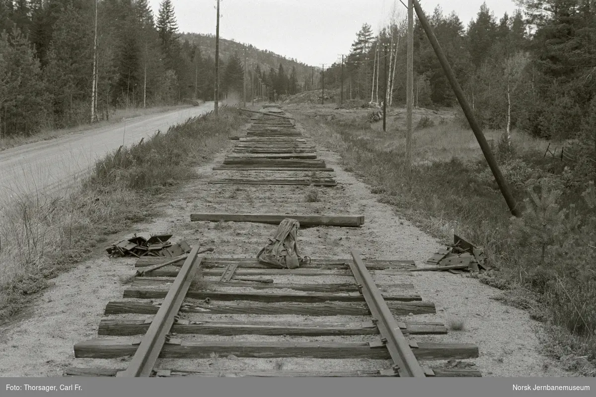 Parti fra den nedlagte Treungenbanen nord for Suplandfoss mellom Simonstad og Åmli. Riving av sporet pågår