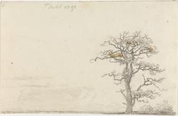 Eik og skyer [Tegning]