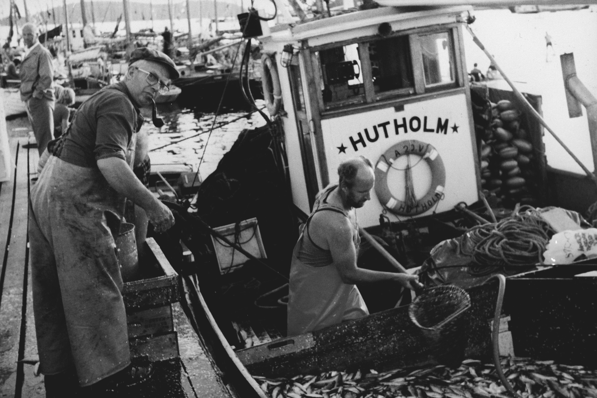 Mannskap ombord på fiskeskøyte ved kai. Hutholm er navn på båten.