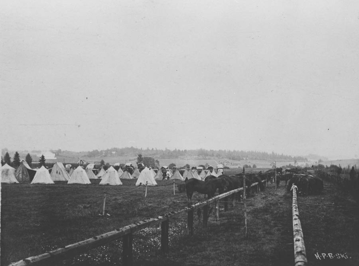 Telt og hester i forbindelse med manøvren 1912.