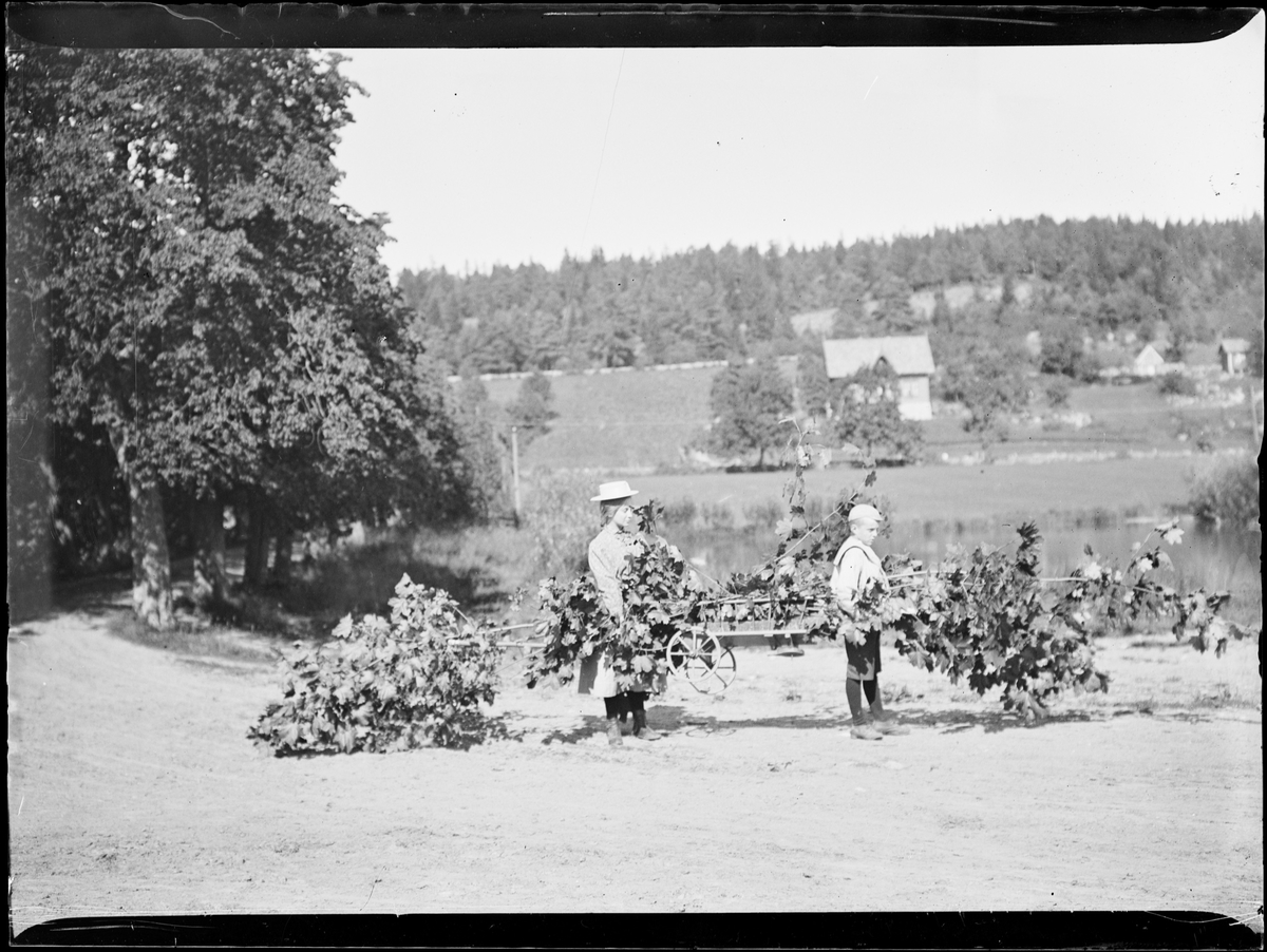 En dame og en gutt bærer på løvgrener ved en vei med allé. Skog og hus skimtes i bakgrunnen.