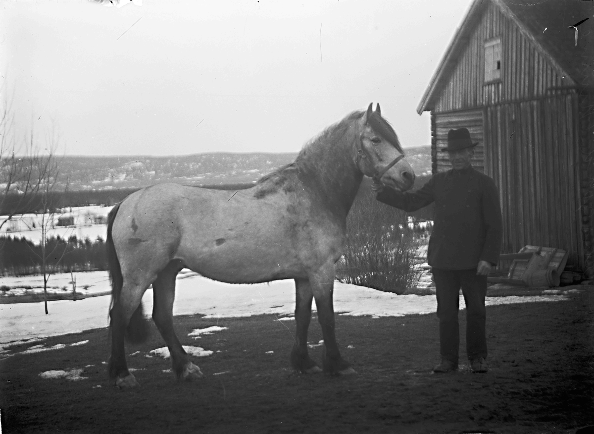 Gårdbruker Aasgaard med hest i Åsleia der veien skrår ned mot Minnesund