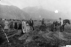 Haustonn på Stavgarden på Nauste.