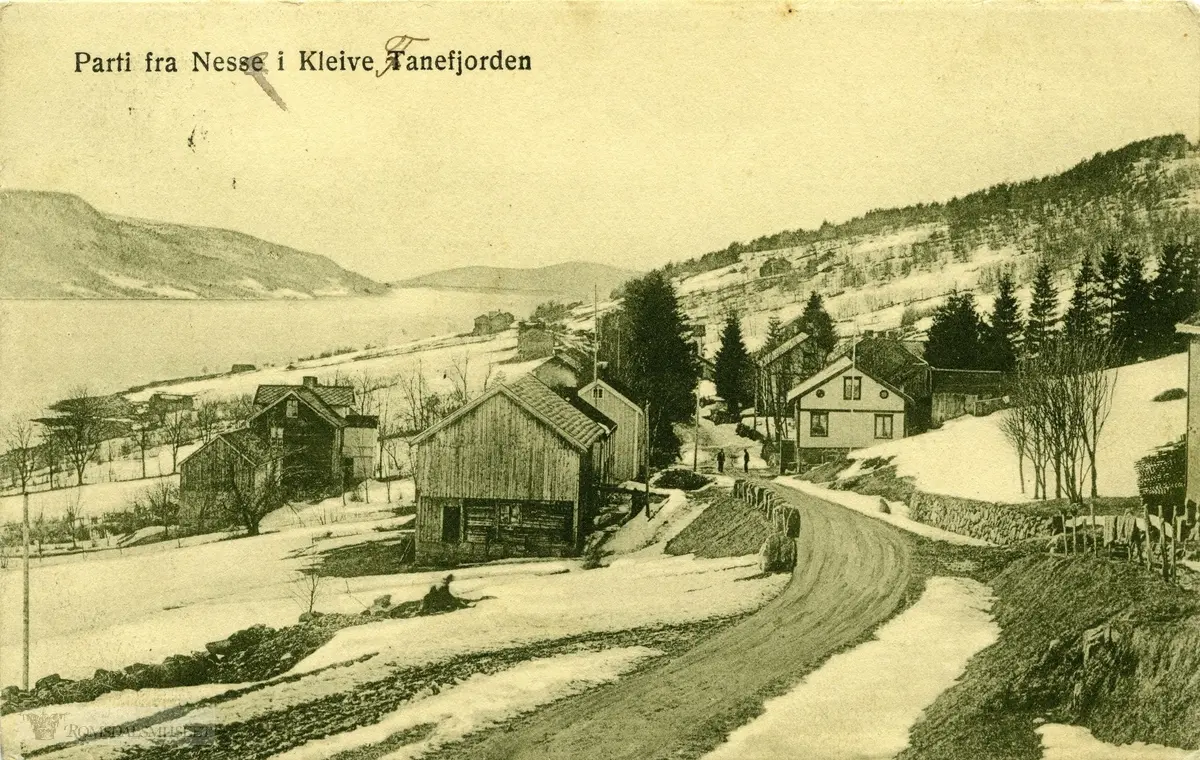 Parti fra Nes i Fannefjorden.