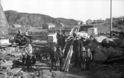 (Filmbeholder 19953)