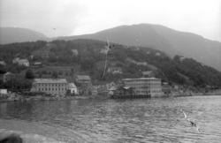 (Filmbeholder 28984)..