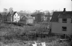 (sannsynligvis fotografert fra H. Gjenstads bolig i 2.etg. ”