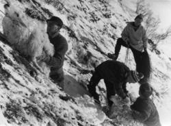 Saueberging i Vistdal februar 1966.