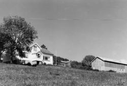 (Bilder brukt i "Gards- og ættesoge for Nesset").