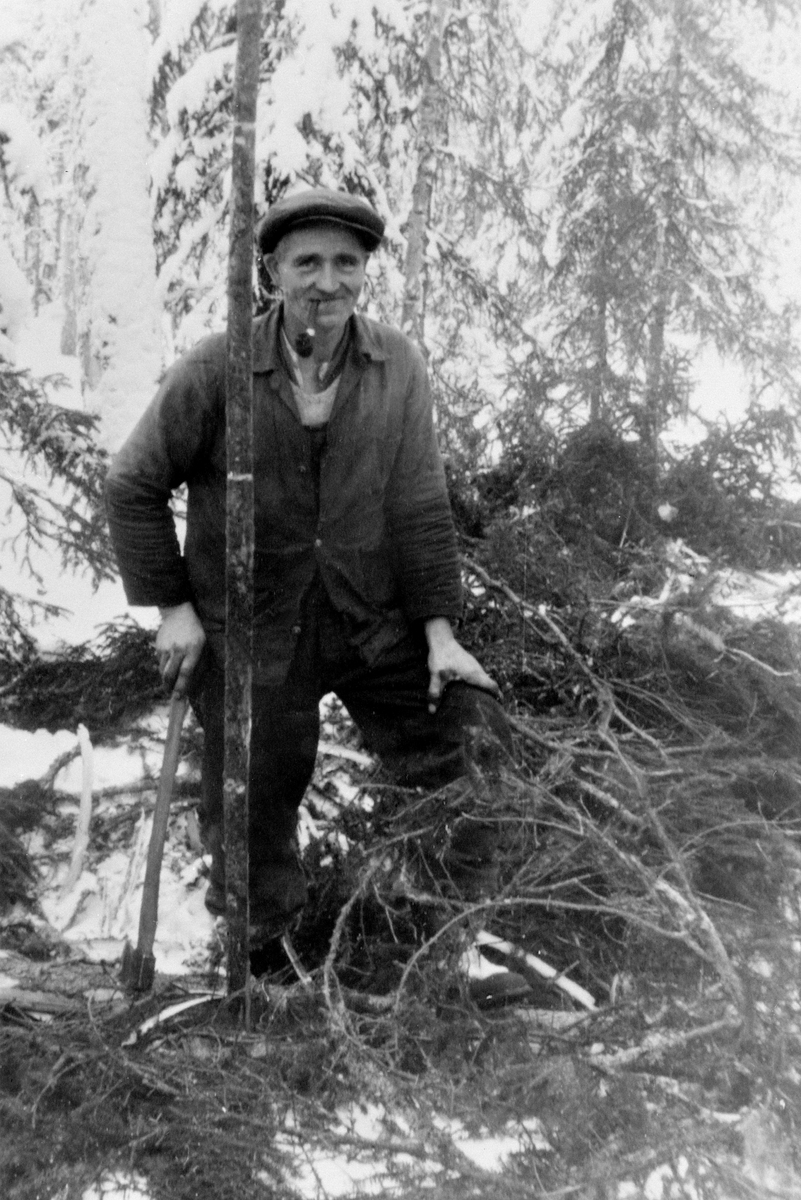 Olaf Bekkelund på tømmerhugging med svans, øks, Helgerena ved Sør-Mesna, Ringsaker.