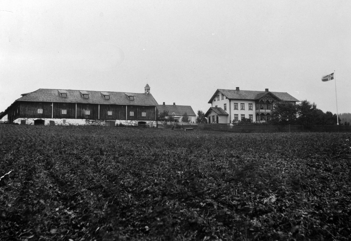 Eksteriør, Opsal gard, Veldre, Ringsaker. Huset i midten, føderådsbygningen brant ned i 1921. Ca. 1900-03, flaggdag.