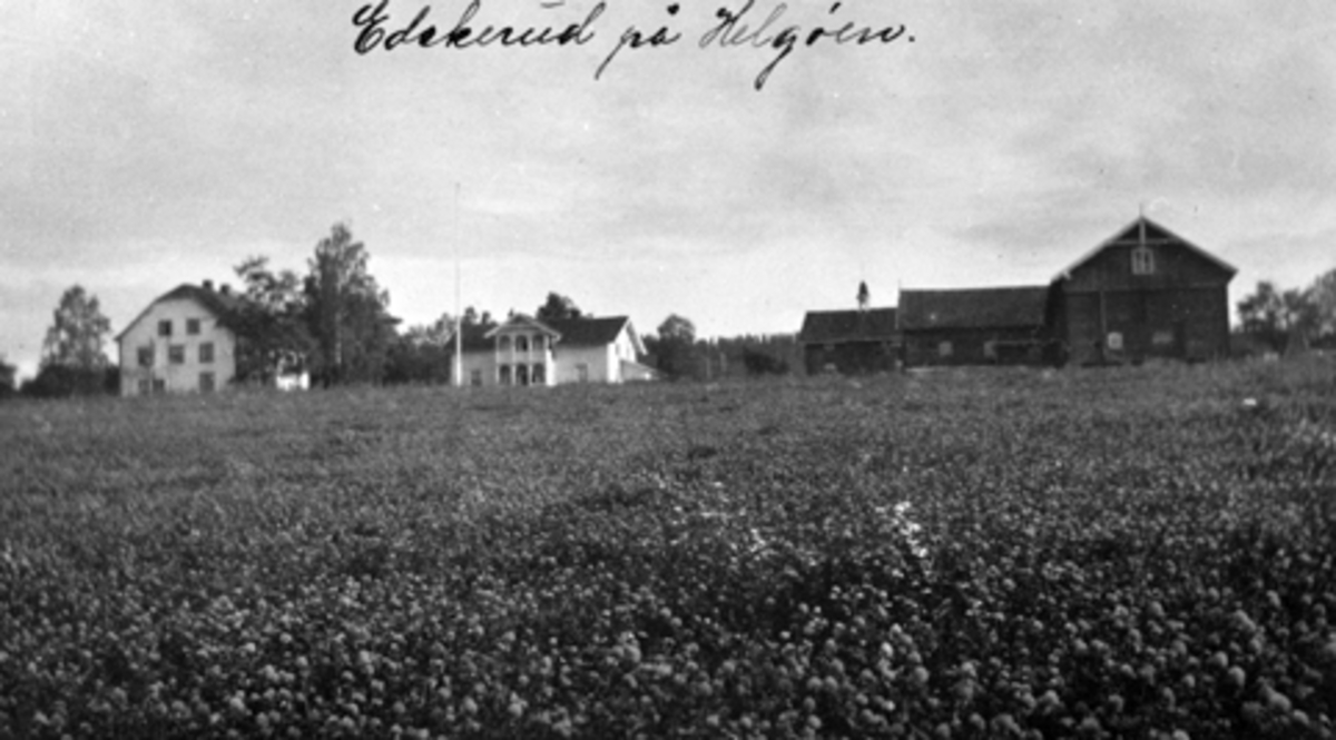 Eskerud gård, Helgøya som postkort.
