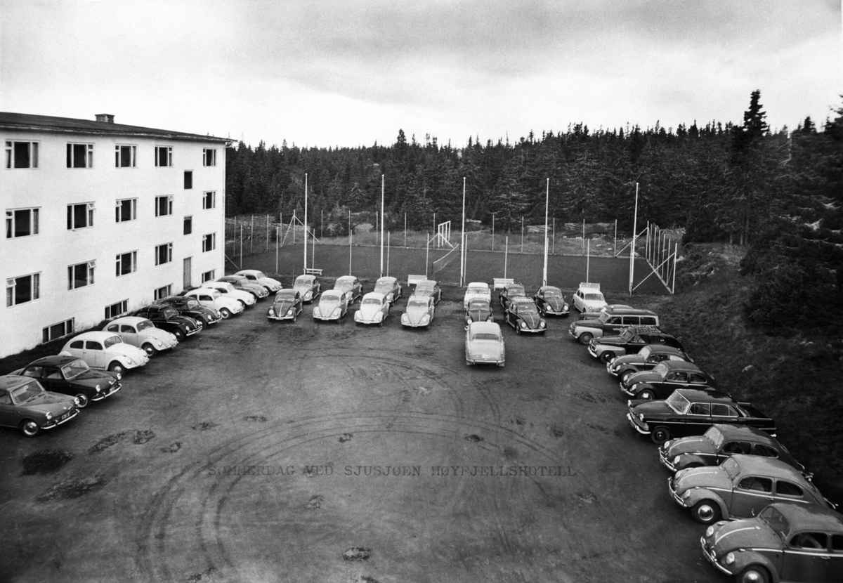 Ca. 30 volkswagen biler parkert ved Sjusjøen høyfjellshotell, fest for de ansatte i 1964.