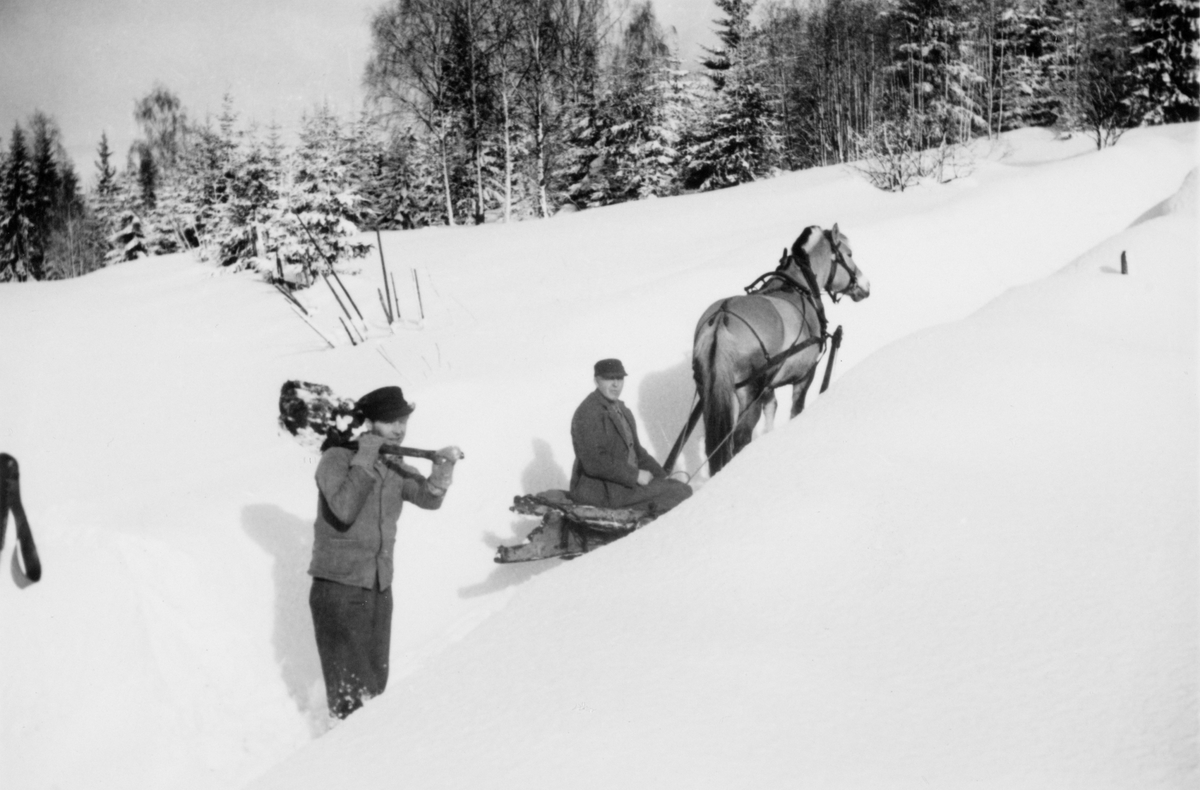 Far og sønn (Hans og Hans) med hesten "Blakken" og slede på veg etter for oppover hamninga i Medlien, Ringsaker. Mye snø.