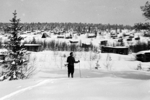 RAUMYRA, TORVMYR, TORVBUER, SKILØPER, 1961