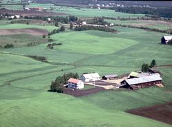FLYFOTO UKJENT GARD I LØTEN