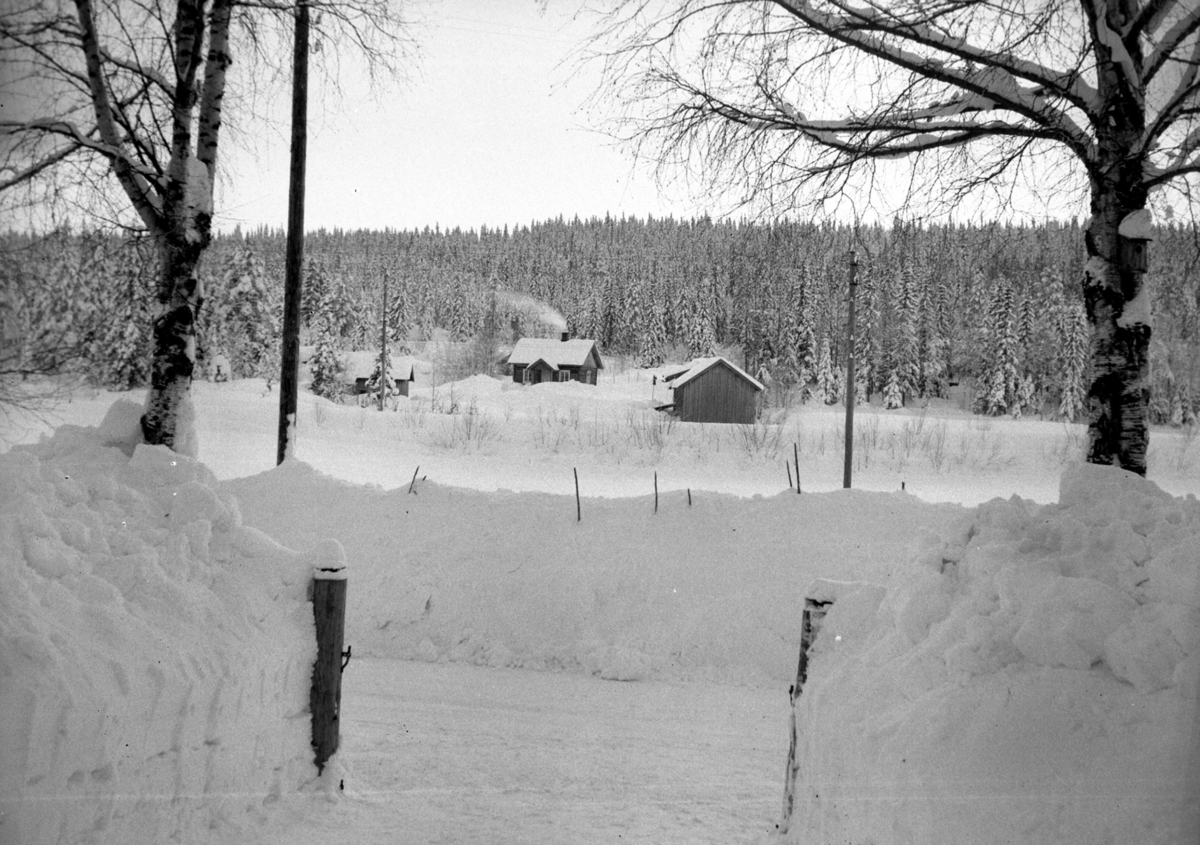 Bruket i bildet er Nørstenga på vestsida av Glomma i Elverum (Vestre Strandbygda). Jernbanelinja anes som en forhøyning i snøen foran bruket og på tvers av bildet.
