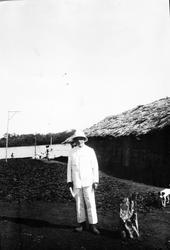 Mosambik. 1914. Trolig er bildet tatt i Quelimane hvor plant