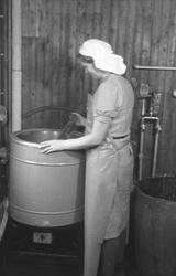 Trønderfrukt på Røra