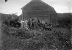Slåttonn på Vikerødegården i Ringsaker. Gruppe mennesker med