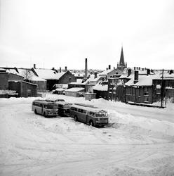 Busser på Leütenhaven