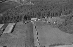 Ukjente steder i Elverum - Widerøe flyfoto