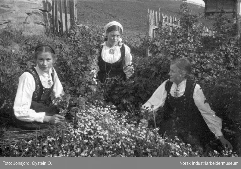 tre damer i blomsterenga