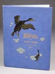 Sjøfugl af Thorolf Holmboe [Bok]