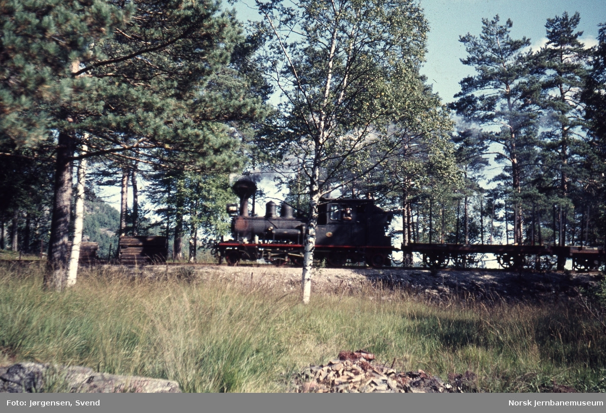 Damplokomotiv nr. 2 på øya ved Hægeland stasjon