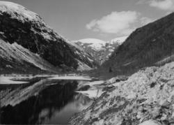 Kveldsbeitefonna gikk meget stor 28.april.1956. Bildet ble t