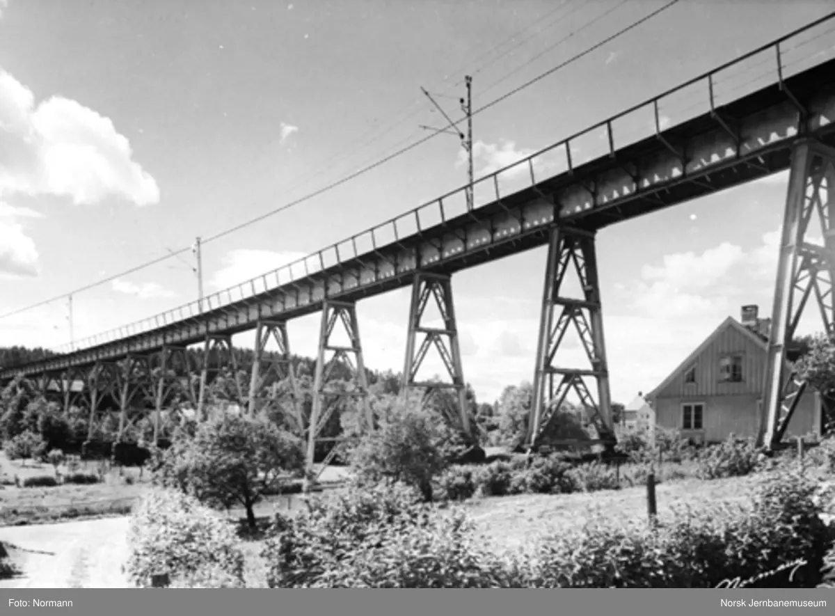 Hølen viadukt - Norsk jernbanemuseum / DigitaltMuseum