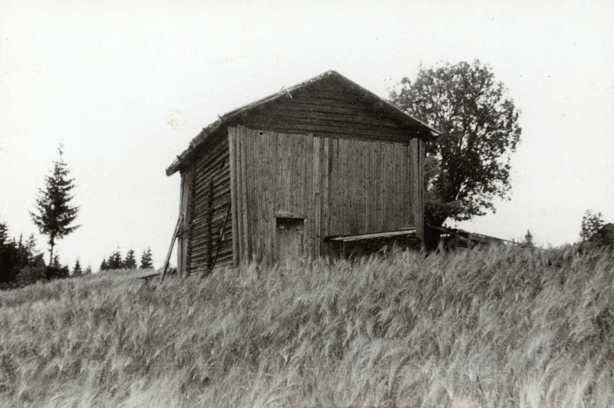 Ria, Grue, Hedmark 1943. Baksiden av løe, sett fra kornåker.