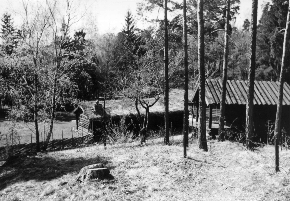 Gudbrandsdalssetra på Norsk folkemuseum, mai 1947. Til høyre, kjone fra Melstrøm i Sør-Odal.