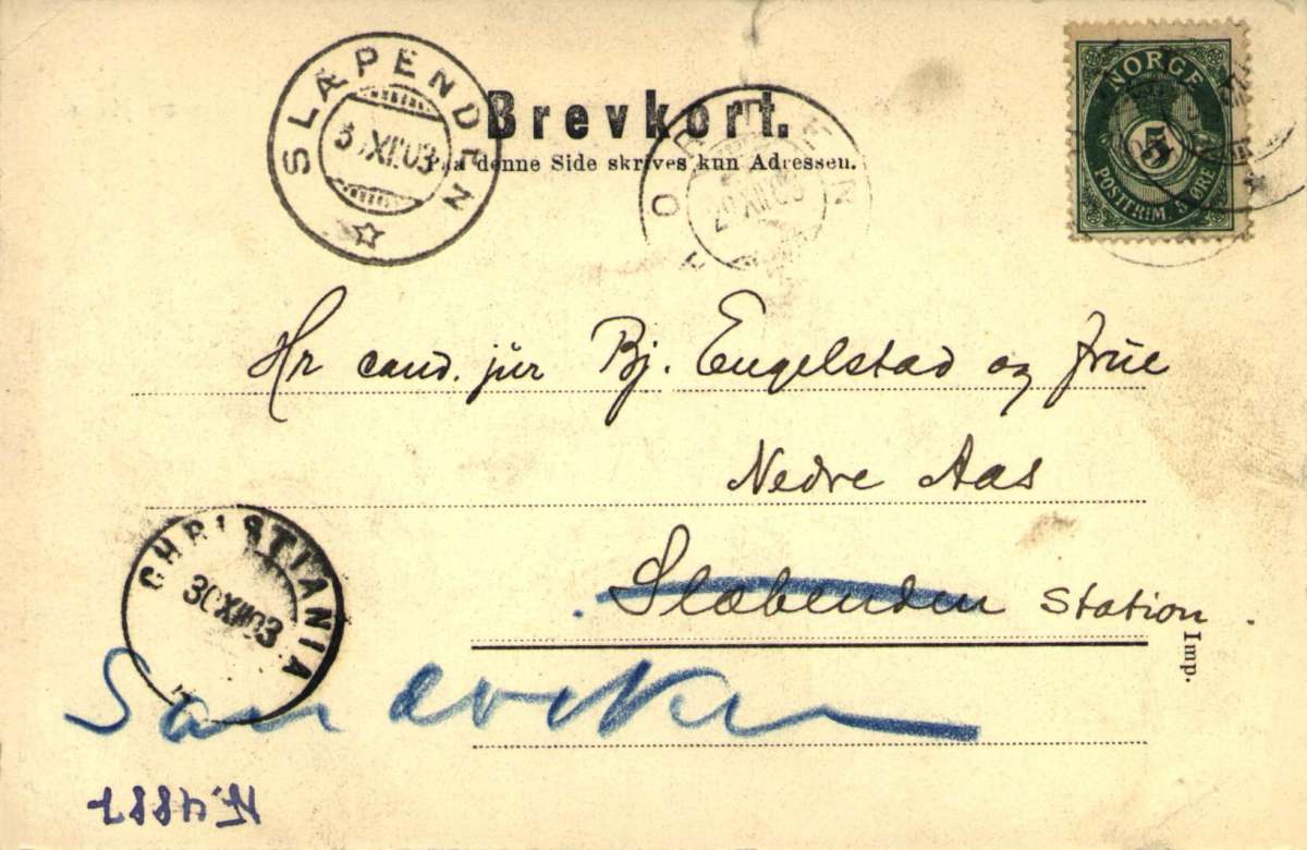 Postkort. Nyttårshilsen. Fotografisk motiv. Svart/hvitt. Parti fra en allé i Horten. Datert 29.12.1903.