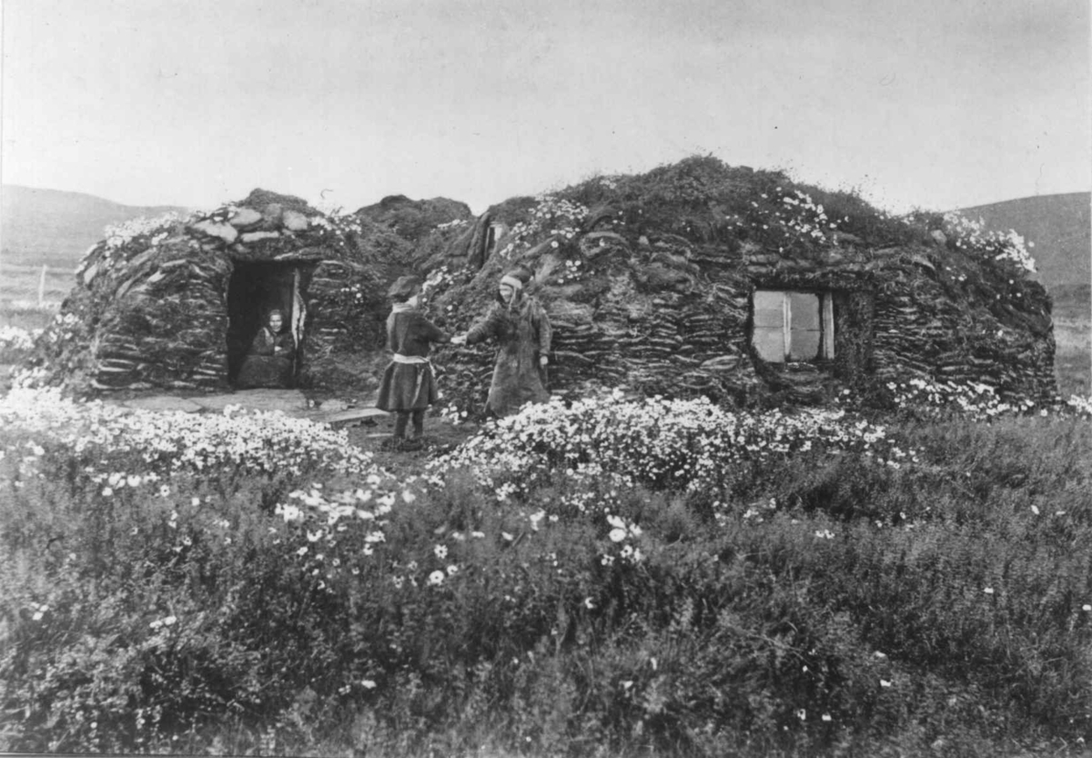 Samisk torvgamme, Maja Nilsens gamme, utenfor står søsknene Nils Maja, Anna og Gaisa Halt (i døråpningen), Vestre Jacobselv, Vadsø, Finnmark, 1897. Blomstereng.