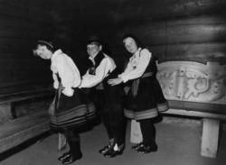 Opptreden av Norsk Folkemuseums barneleikarring.