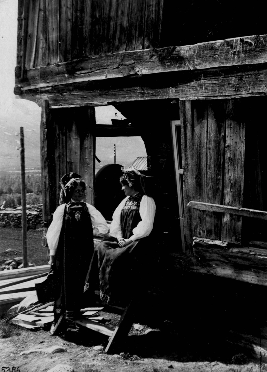 Kvinnedrakter fra Øvre Hallingdal, Buskerud. 1927.
To kvinner foran tømmerhus.