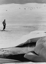 Avfotografert postkort. En mannlig skiløper i snødekt vinter