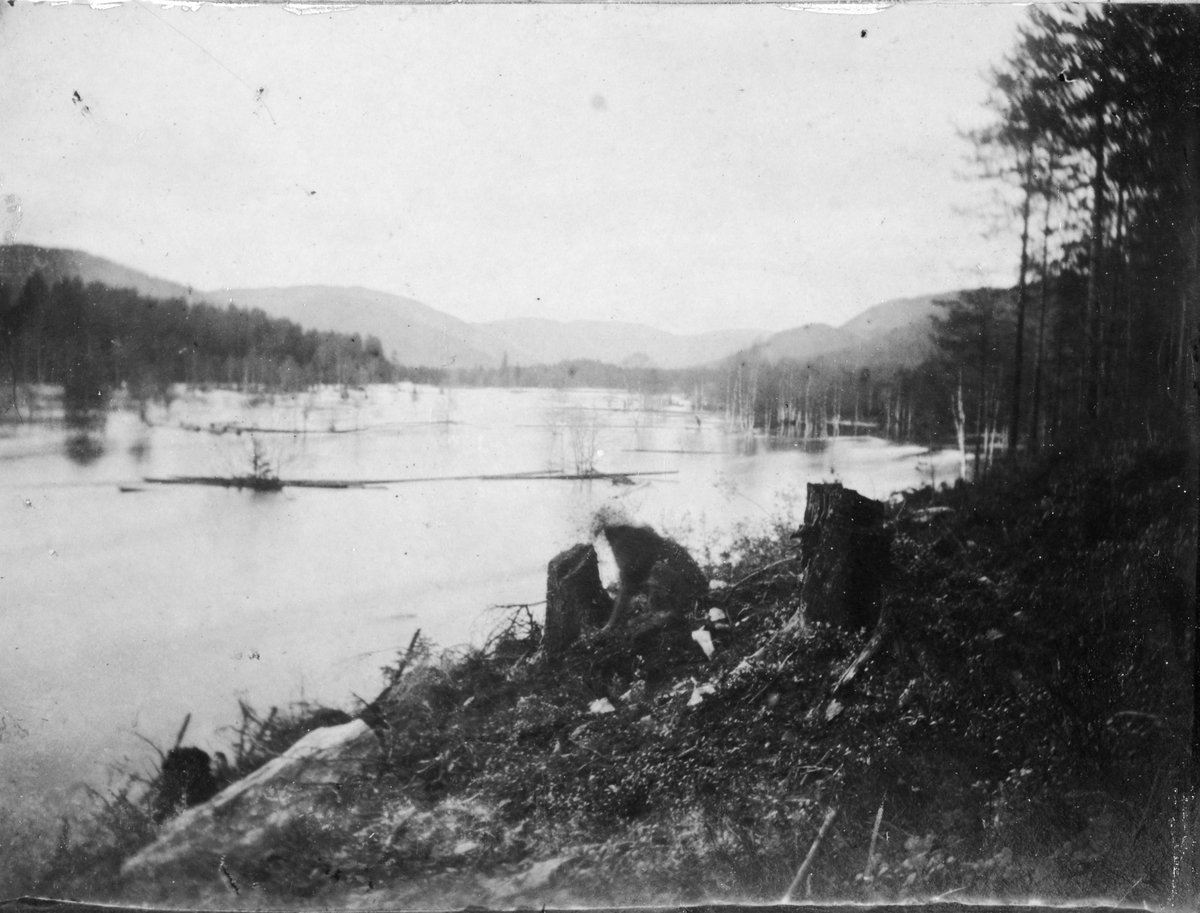 Landskap med flom, ved Lunden gård, Hegglandsgrend, Fyresdal, Telemark, med utsyn nordover dalen. Bildet er tatt under en stor flom i området 1880.