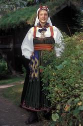 Vert i drakt fra telemarken.