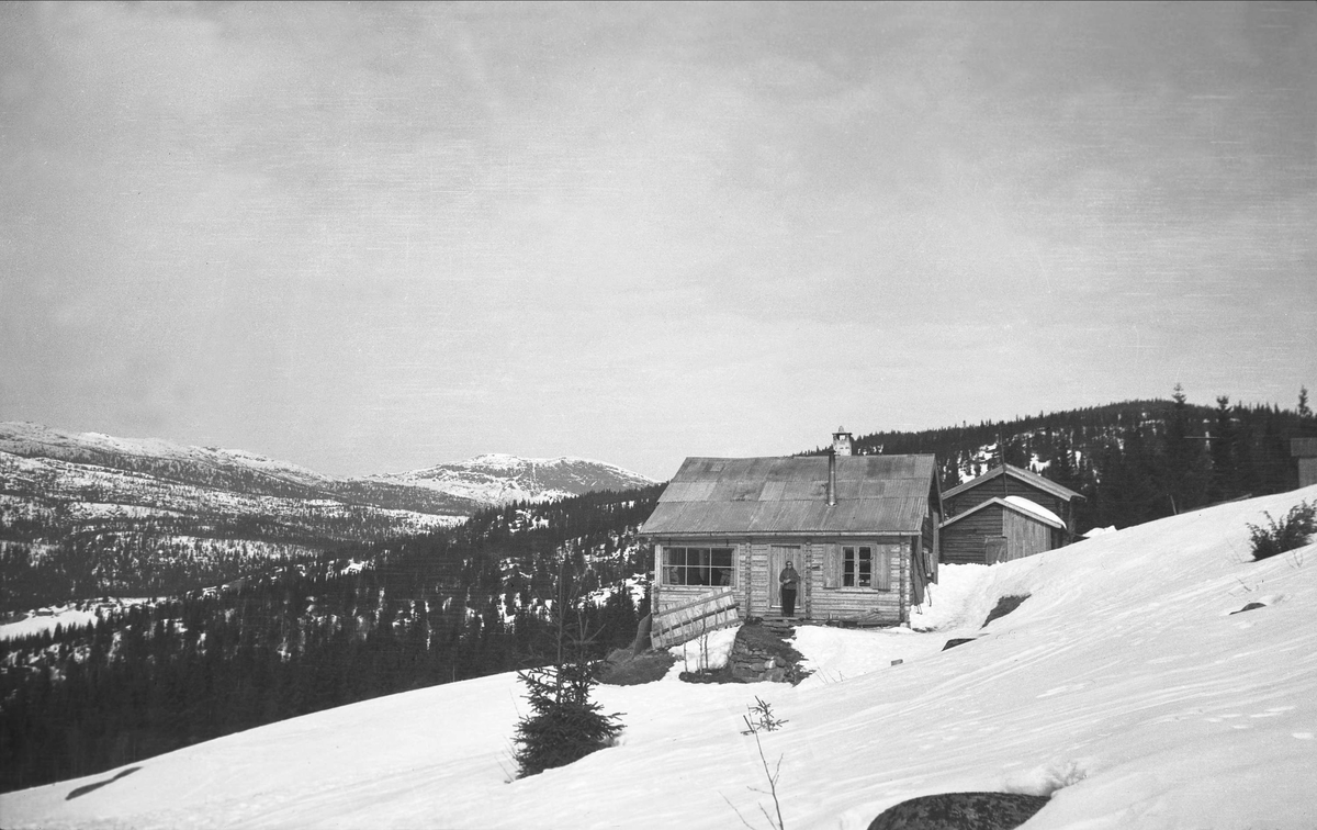 Hytta til familen Arentz, Ligardshaug, med  Eggedal. Fotografert 1939.