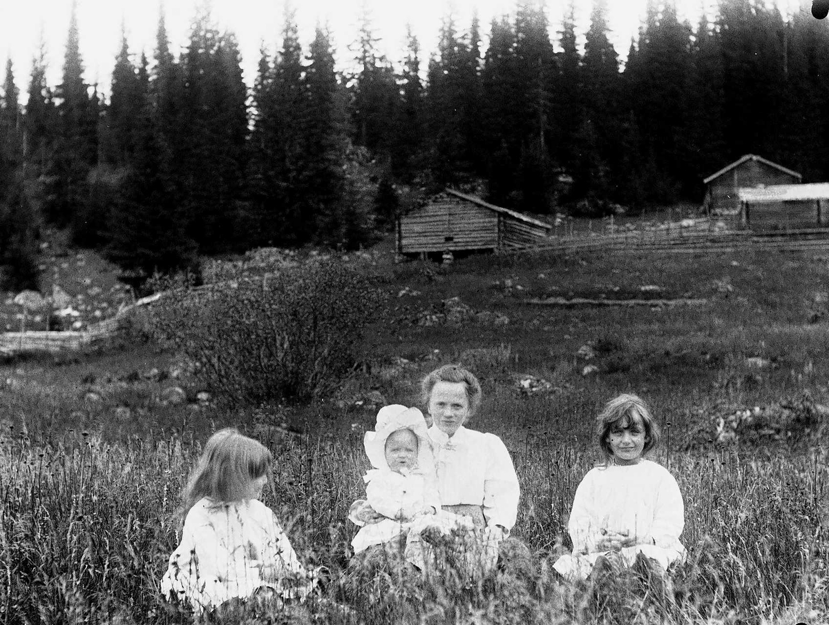 Familiemedlemmer på Holoa seter, Hadeland, Jevnaker, Oppland, 1903. Gudrun, Margrethe, Halvor Nicolai, Karen Q. Wiborg.