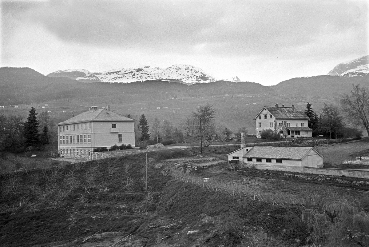 Serie. Hjeltnes hagebruksskole, Ulvik, Hordaland. Fotografert mai 1965.