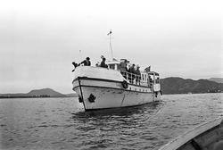 Serie. Dagbladarrangement (Gullfisk i Ålesund).
Fotografert