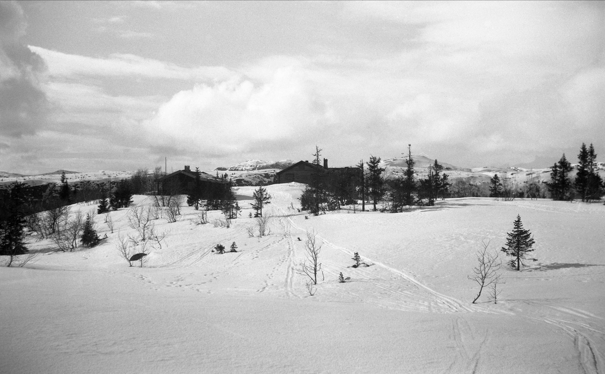 Norefjell vest, med Arentz-familiens feriested Ligardshaug i forgrunnen. Fotografert påsken 1950.