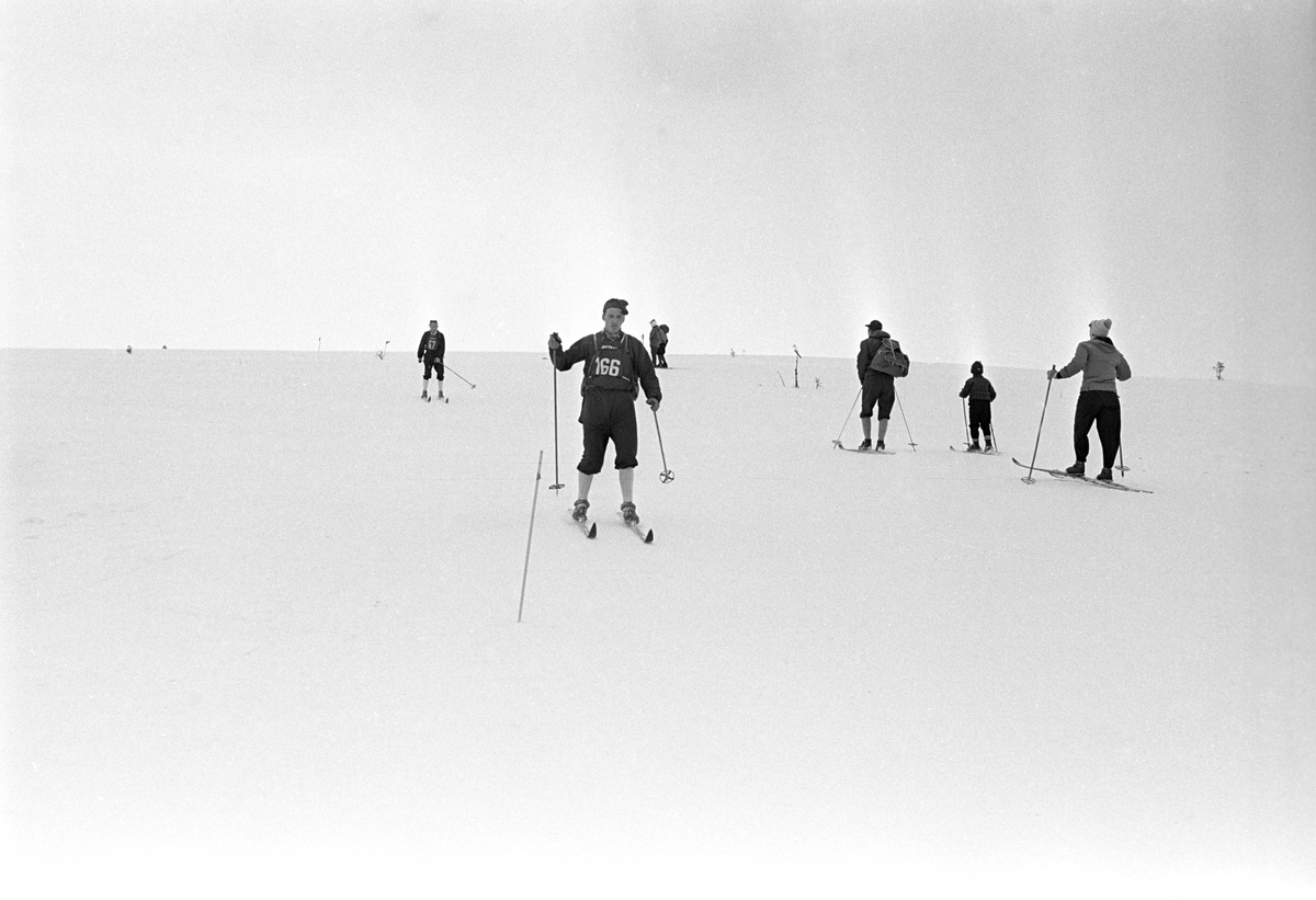 Deltaker med startnummer 166 i sporet. Publikum langs løypa. Birkebeinerrennet fra Rena til Lillehammer 1963.