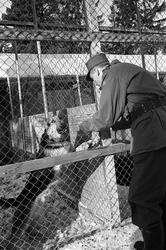 En militær hilser på en hund i luftegården ved Forsvarets Hu
