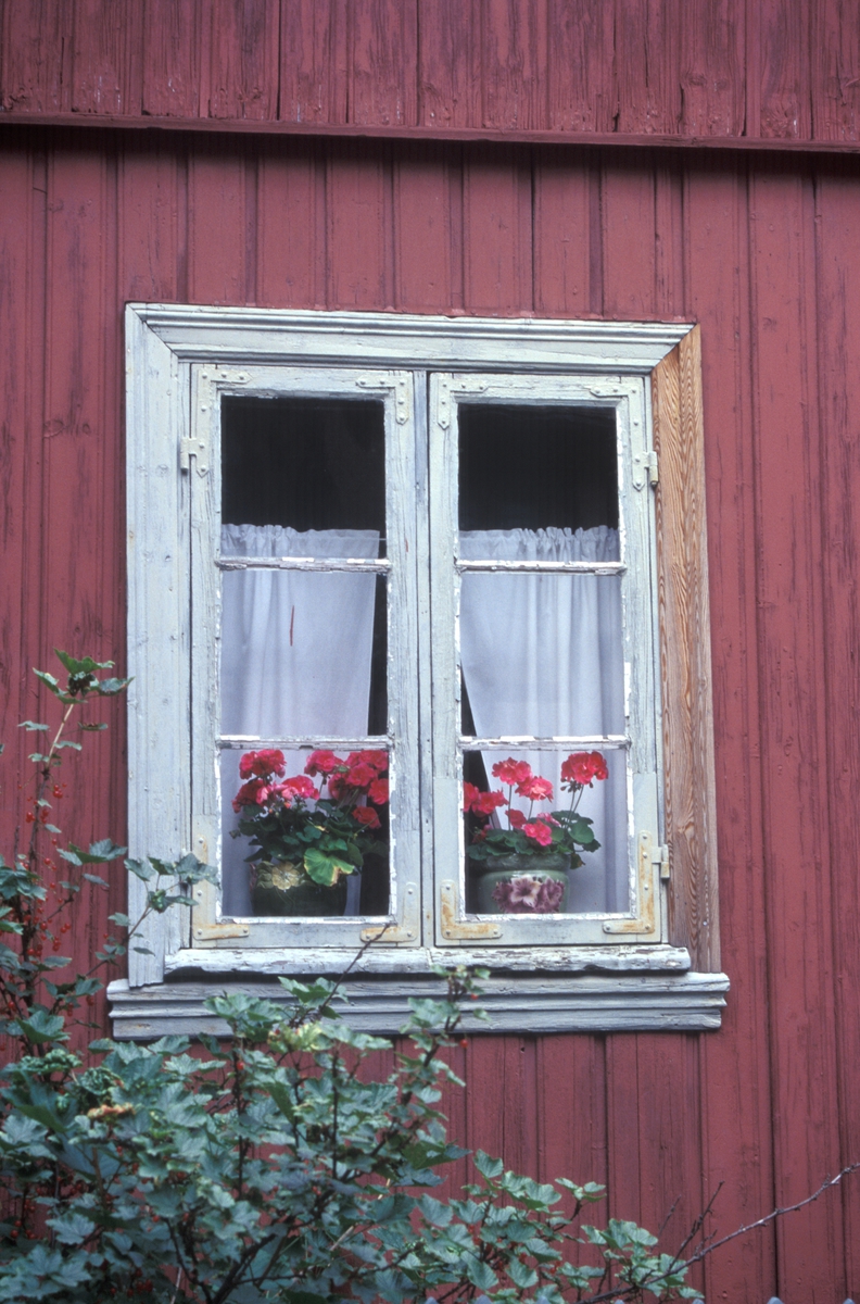 Vindu i forstadshus fra Flisberget 2 på Enerhaugen. Fotografert på Norsk Folkemuseum juli 1998.